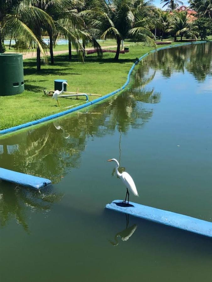 No Aquaville Resort, Do Lado Da Sombra E Perto Da Apartment *
